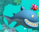 Sea creatures 2 games