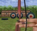 Master archer games