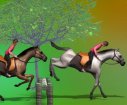 Horse training games