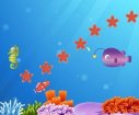 game Star fish