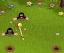 Mole hunter games