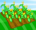 Little Farm Ville games