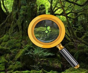Green World oyunu oyna