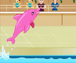 Dolphin oyunu oyna
