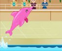 game Dolphin