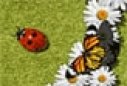 Guide insects games