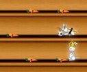 game Rabbit race