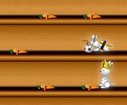 Rabbit race