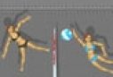 game Ragdoll Volleyball