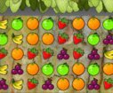 game Colored fruits