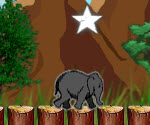 Jumping elephant oyunu oyna