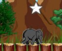 game Jumping elephant