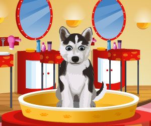 Animal care house oyunu oyna