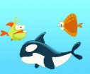 LIFE OF FISH games