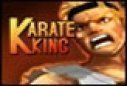 game King of karate