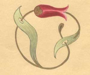 Voice Quran letters oyunu oyna