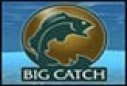 Catch fish games