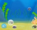 Sea bubbles games