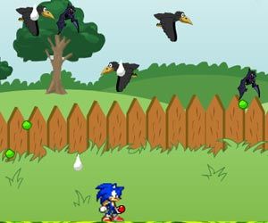 SONIC in the garden oyunu oyna