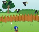 SONIC in the garden games