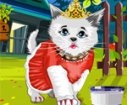 Cat prince