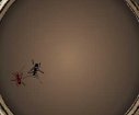 Ant fighting